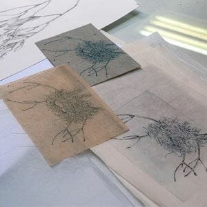 oeuvre luce dumont