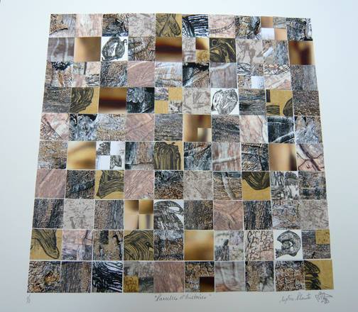 oeuvre sylvie plante